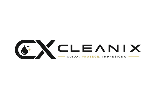 CleanIX